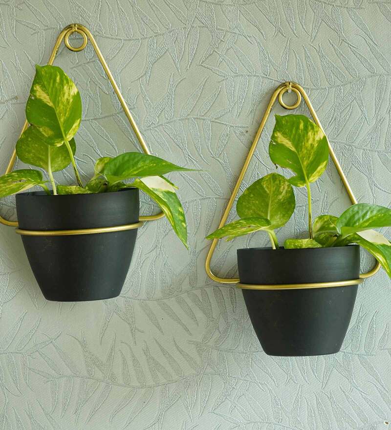 Buy Black Metal Wall Planter by Tied Ribbons Online Wall Planters Pots & Planters Home