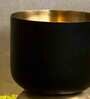 Black & Antique Brass Iron Totem Small Planter