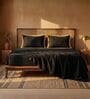 Black & Gold 400 TC Cotton Satin King Size Bedsheet with 2 Flanged Pillow Covers