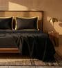 Black & Gold 400 TC Cotton Satin King Size Bedsheet with 2 Flanged Pillow Covers