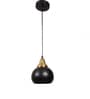 Knepp Black Iron Hanging Light