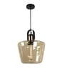 Black & Gold Iron Hanging Light