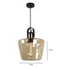 Black & Gold Iron Hanging Light