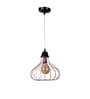 Deigo Black & Gold Iron Hanging Light