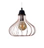 Deigo Black & Gold Iron Hanging Light