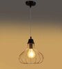 Deigo Black & Gold Iron Hanging Light
