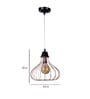 Deigo Black & Gold Iron Hanging Light