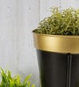 Black & Gold Metal Desk Planter Set of 1