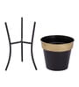 Black & Gold Metal Desk Planter Set of 1