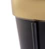 Black & Gold Metal Desk Planter Set of 1
