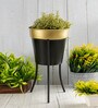 Black & Gold Metal Desk Planter Set of 1
