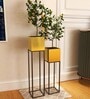 Black & Gold Metal Rectangular Planter Stand, Set Of 2