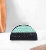 Black & Green Steel Tissue Holder