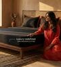 Black & Rust 400 TC Cotton Satin King Size Bedsheet with 2 Flanged Pillow Covers