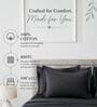 Black 400TC 100% Cotton Solid Flat Super King Bedsheet With 2 Pillow Covers
