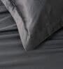 Black 400TC 100% Cotton Solid Flat Super King Bedsheet With 2 Pillow Covers