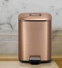 6 ltrs Step Dustbin with Fingerprint Resistant (Bronze)