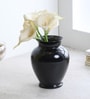 Black Acrylic Ginger Vase