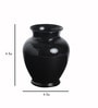 Black Acrylic Ginger Vase