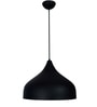 Black Aluminium Hanging Light