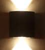 Admiration Metal Wall Flush Mount Light (Black)