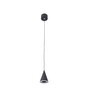 Addison Black and Gold Aluminium LED Ceiling Lights