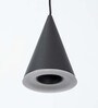 Addison Black and Gold Aluminium LED Ceiling Lights
