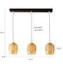Francis Black and Gold Metal and Glass Cluster Hanging Light