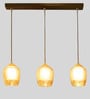 Francis Black and Gold Metal and Glass Cluster Hanging Light