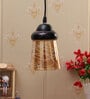 Calathus Black and Gold Metal Hanging Light