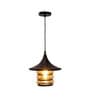 Amora Black and Gold Metal Hanging Light