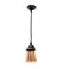 Calathus Black and Gold Metal Hanging Light