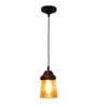 Calathus Black and Gold Metal Hanging Light