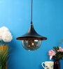 Damsel Black and Gold Metal Hanging Light