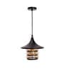 Amora Black and Gold Metal Hanging Light