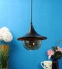 Sivaka Black and Gold Metal Hanging Light