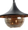 Sivaka Black and Gold Metal Hanging Light