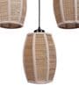 Black Bamboo Cluster Hanging Light