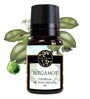 Bergamot   Essential Oil