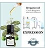 Bergamot   Essential Oil