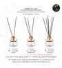 Blossom Scented Oil Reed Diffuser