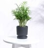 Black Ceramic Desk Pot