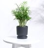Black Ceramic Desk Pot