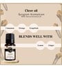 Clove   Essential Oil