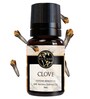 Clove   Essential Oil