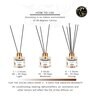 Coconut Scented Oil Reed Diffuser