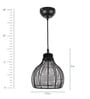 Hamilton Black copper Hanging Light