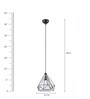 Felicity Black Metal Hanging Light