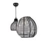 Hamilton Black copper Hanging Light