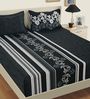 Black Cotton Fitted Queen Size Bed sheet
